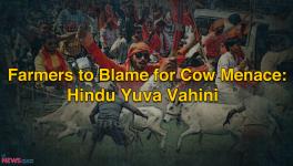 Hindu Yuva Vahini on Cow Menace in UP