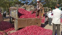 Onion Farmers Protest in Sikar Enters 9th Day 