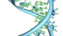  RNA and origin of life