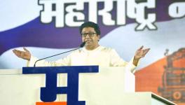 Will Raj Thackeray Dent Shiv Sena in Long Run?