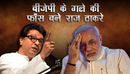 Raj Thackeray Becomes a Thorn in BJP's Flesh