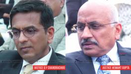 D.Y Chandrachud & Hemant Gupta