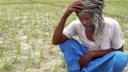 North Karnataka farmers