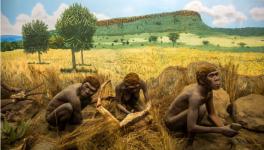 Early Human Species That Lived in the Luzon Island of the Philippines Discovered