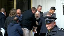 julian assange arrested