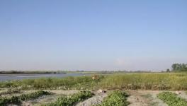 Town of Kairana