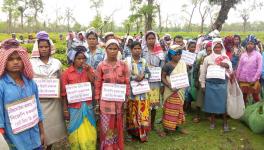 Tea workers in Dibrugarh protest against BJP by hanging placards around their necks.