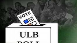 J&K: 7 Month After ULB Polls, Municipal Councillors Yet to Receive Salaries