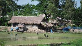 Sundarban