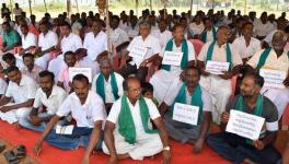 Tamil Nadu Government Files Appeal on Chennai-Salem Green Corridor