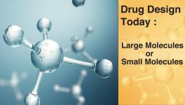Drug Design Today: Large Molecules or Small Molecules?