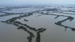Post-Flood Kerala: Rebuilding Gains Fast Pace in Kuttanad 
