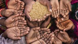 Food Grain Scarcity India and High GDP