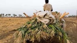 Elections 2019: With Farm Loan Waiver