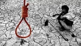 12,021 Farmers Committed Suicide Under the BJP Regime in Maharashtra