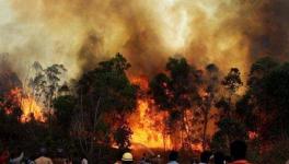 Forest Fires Rage in Himachal, Uttarakhand