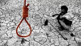 Another Farmer Commits Suicide in Rajasthan