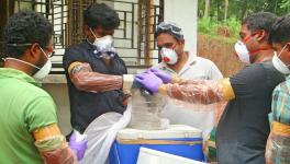 Kerala Beats Nipah Virus Again