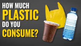 How Much Plastic Do You Consume?