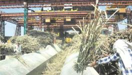 Tamil Nadu Farmers’ Associations Accuse Sugar Mill Owner