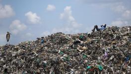 When it Comes to Fueling Waste Crisis, US Tops Global List