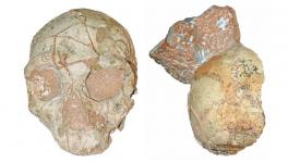 How Old Could Homo Sapiens be Outside of Africa?