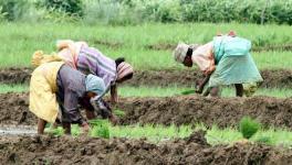 Sops for Farmers: Is Yediyurappa on same Jumla Track as Modi? 