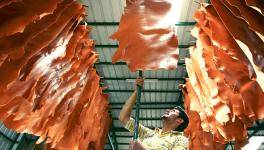 Adityanath Orders To Restart Kanpur Leather Industry, Tannery Owners Skeptical