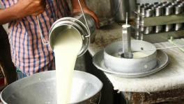 The unions fear dilution of seed rights of Indian farmers and massive dumping of dairy products from milk-producing countries.
