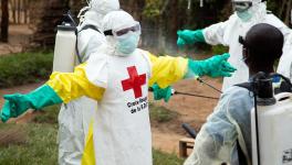 Ebola: New Treatment Found