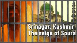 Srinagar, Kashmir: The Protests