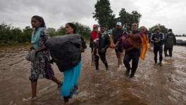 Maharashtra Floods: Water Recedes, Leaves Behind Devastation in Kolhapur, Sangli