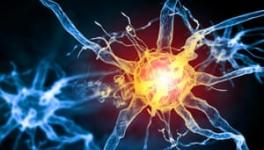 Pain Sensing Could Involve