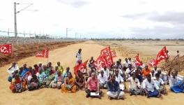 Tirunelveli Farmers Assured Compensation