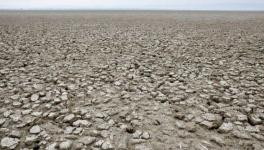 Desertification