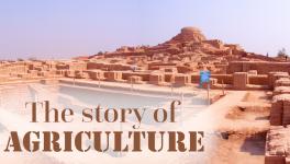 How did Agriculture Begin in South Asia?