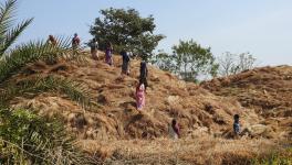 Maharashtra: Ecologically Fragile Dahanu Region