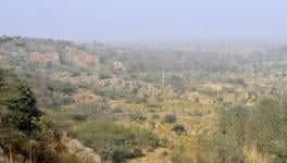 'Aravallis to Be Kept Out of National Conservation Zone to Further Corporate Interests'