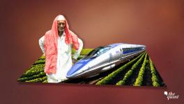 Bullet Train: Gujarat HC Junks Over 120 Farmer Pleas Against Land Acquisition