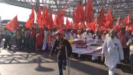 Huge Farmers, Agri Workers’ Rally in Kolkata Calls for Unified ‘Kisan’ Identity 
