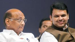 Sharad Pawar And Devendra Fadnavis