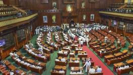 Why State Assemblies Need More