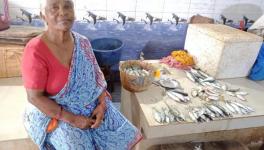 Jayashree, 67, has been selling fish in Malwan market since her childhood.