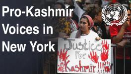 Pro-Kashmir Voices in New York