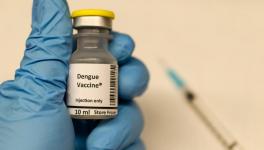 New Dengue Vaccine Claims