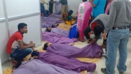 Probe Ordered Into Toxic Gas Leak in Pvt Seafood Processing Plant in Odisha