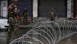 As Crisis in Kashmir Enters 100th Day