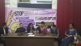 Murder of Gender Justice, Say Transgender Activists as Rajya Sabha Passes Bill