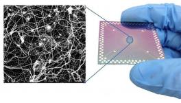 Artificial Metallic Nanowire Network
