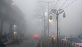 Dense Fog Impairs Life in Kashmir, Orchards Responsible?